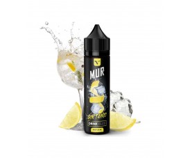 Mur - Drink Club Gin Tonic SnV 20/60ml
