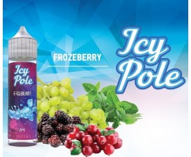 Icy Pole  - Frozeberry SnV 20/60ml