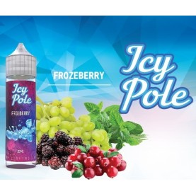 Icy Pole  - Frozeberry SnV 20/60ml