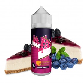 Big Mouth - Blueberry Cheesecake 15/120ml
