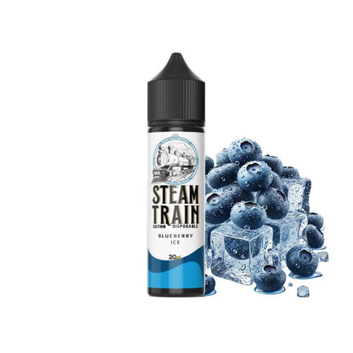 Steam Train - Disposable Edition Blueberry Ice 20/60ml